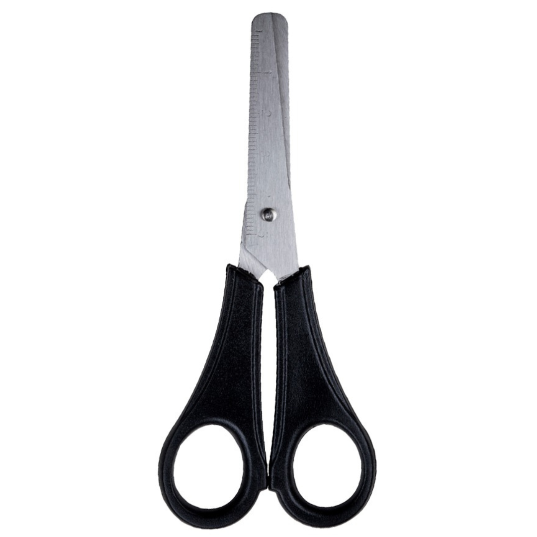 Tesoura Escolar Black Inox Leo E Leo 4195 - Cx 12 Unidades